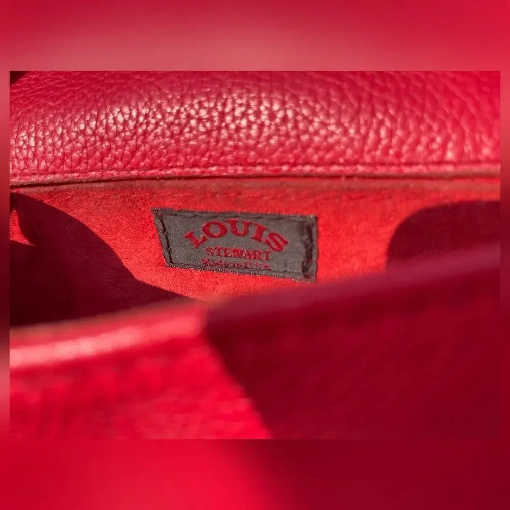 Louis Stewart — Mini Leather Crossbody  - Picture 4 of 4